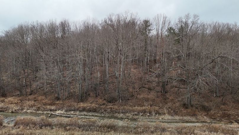 DJI_20260312154416_0080_D