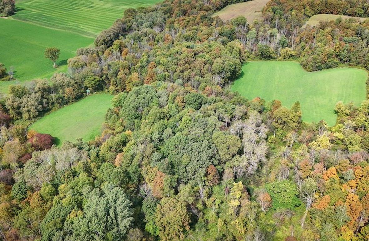 Cayuga_55.02_Herman Photo 5