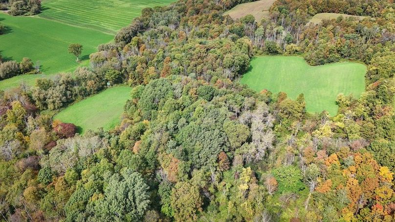 Cayuga_55.02_Herman Photo 5