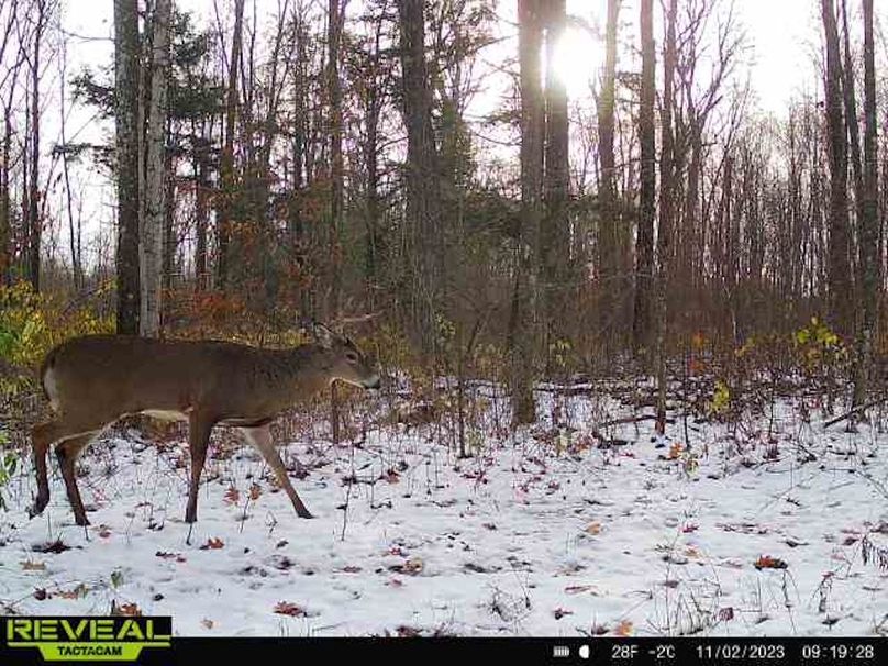 865814048724973-100-3-11022023091928-W1011823