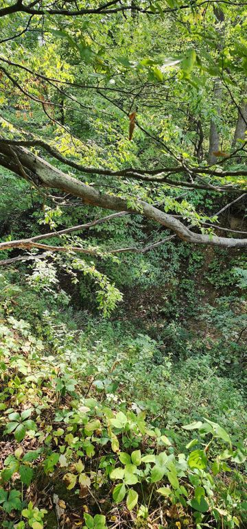 382336409_1304108910223020_2513462201919737165_n