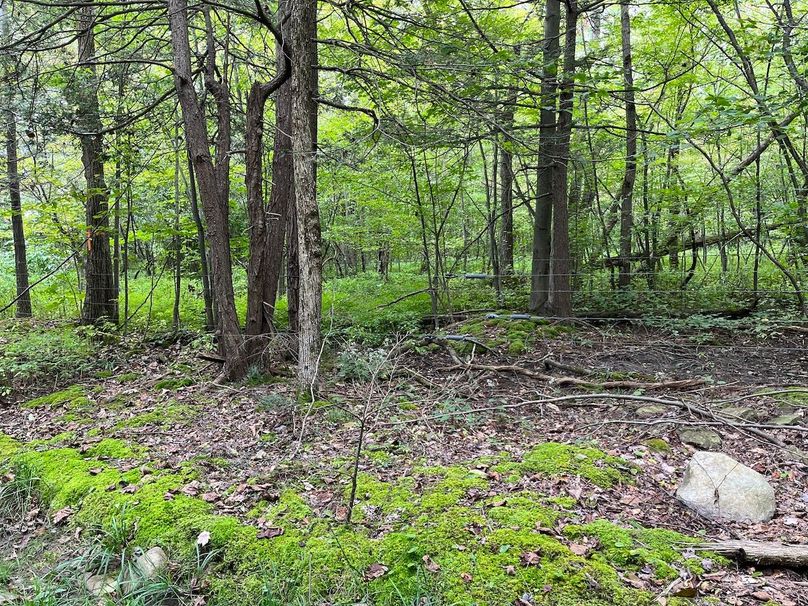 Schuyler_42.08_Austin Photo 26