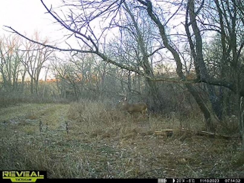 865509050044191-90-4-11182023071458-W1001044