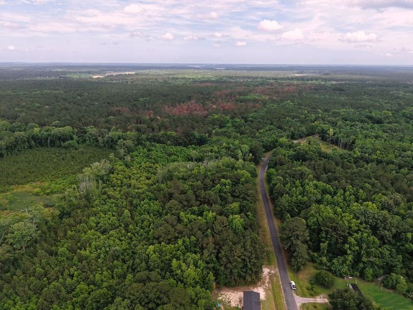 DJI_20260527153918_0192_D