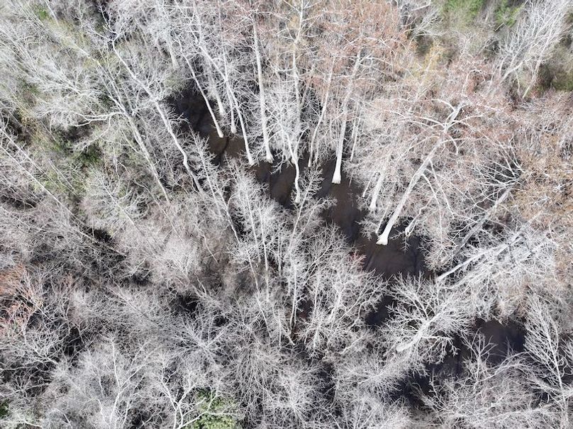 dji_fly_20260224_094048_0296_1772209077907_photo