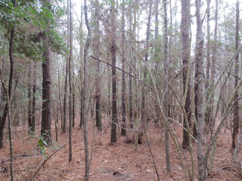 F5A7694F-6AD5-4A7D-8B22-ADF9EFA79DA9