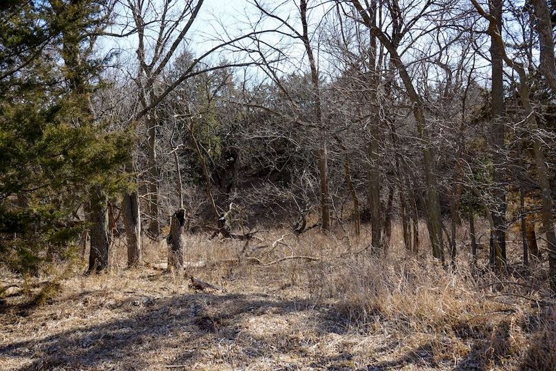 Ottawa Co, 199.7_092