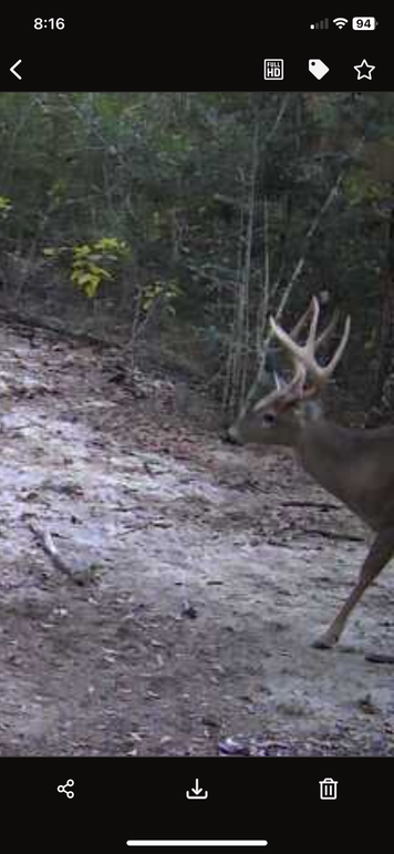 New Trail Cam 4