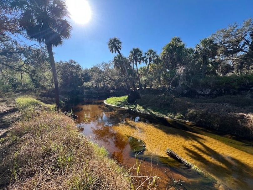 FDE42D7A-A5E2-438A-8597-54AD88B2F1C5_1_105_c