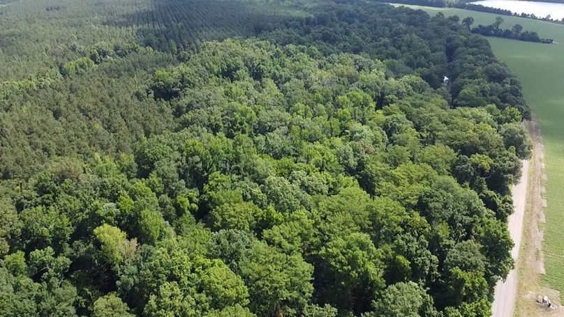 2024-06-01-10-29-51-768