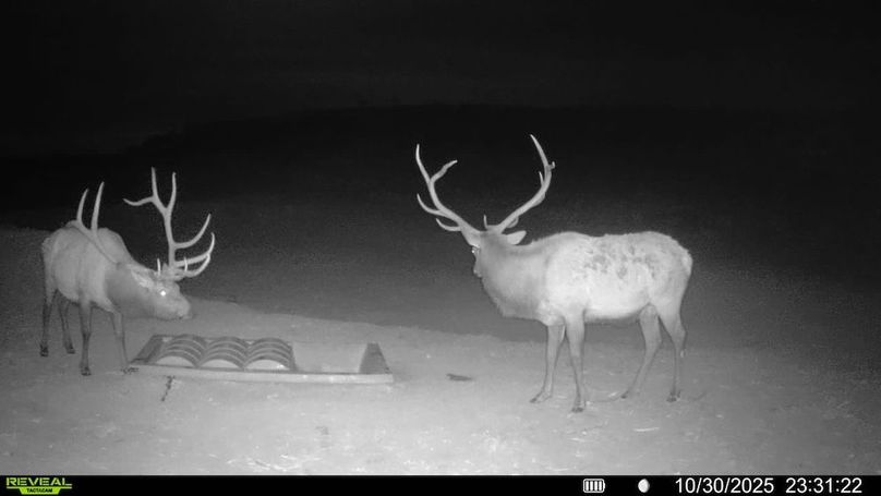 016578003984348-100-3-10302025233122-V-SYFW00586