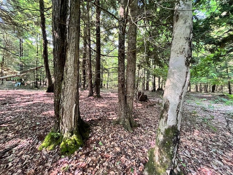 Oswego_22.46-Ross-French_Photos_36