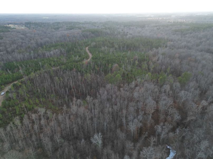 dji_fly_20231130_052508_268_1701905204038_photo