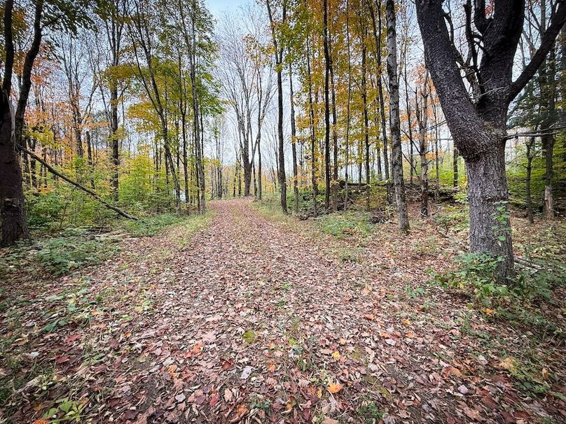 Oswego NY 6.68 Photos 30