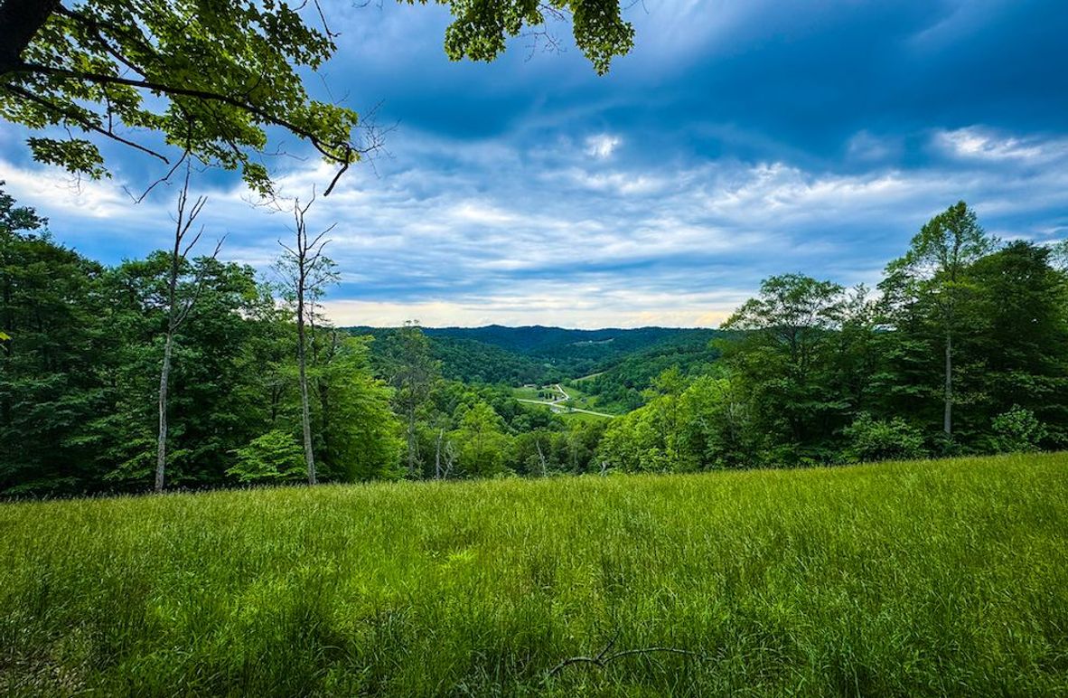 Tyler, WV 313.87 AC -01