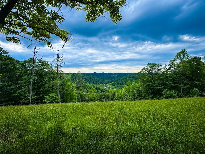 Tyler, WV 313.87 AC -01