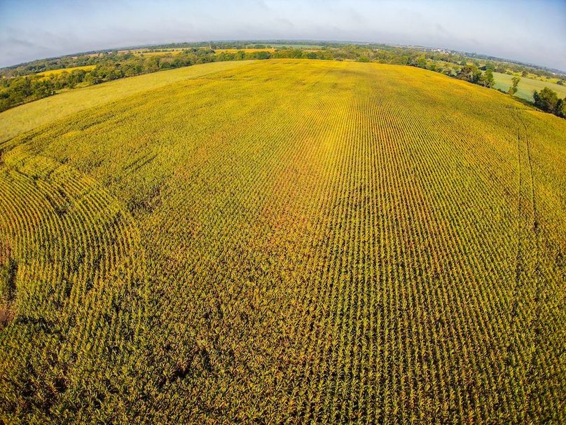 DJI_20250906082251_0091_D