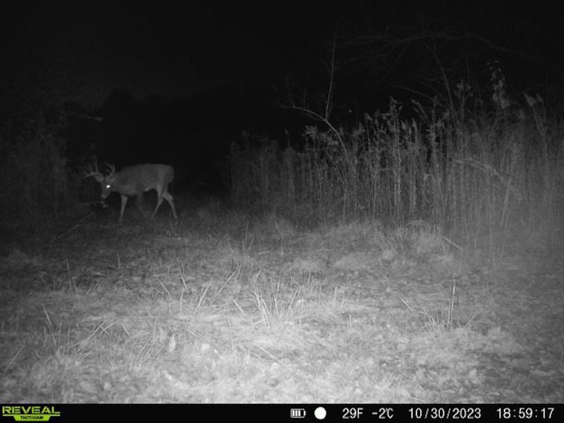 860322065128164-1-2-10302023185916-V-W1004684