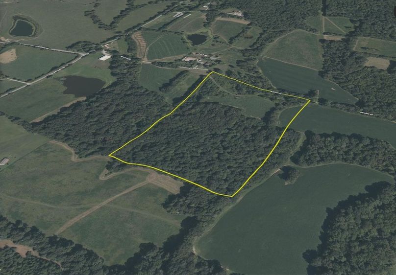 johnson IL 1300.aerial.tract 7 3d Large