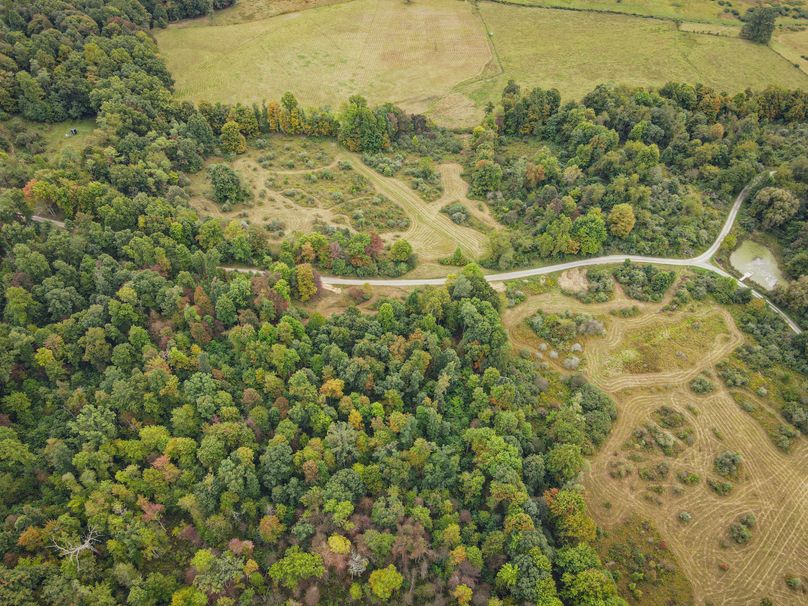 dji_fly_20230923_081150_106_1695471145799_photo