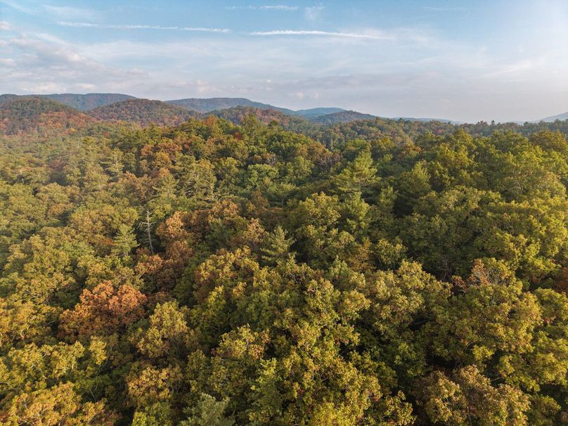 DJI_20250922083818_0036_D