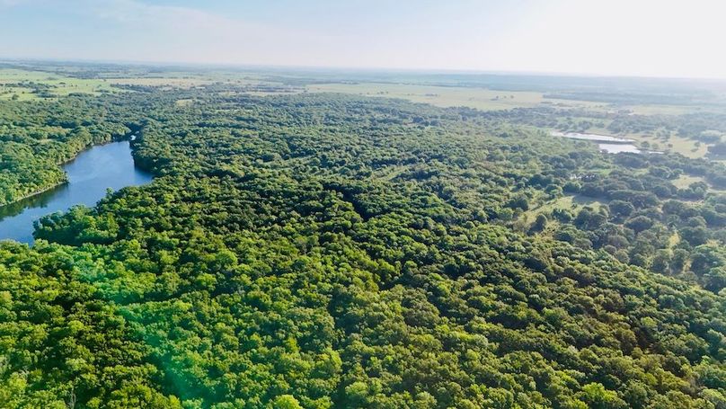 dji_fly_20250728_075256_0034_1753739718294_photo