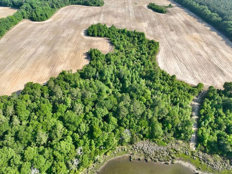 dji_fly_20260424_094428_555_1777039434743_photo
