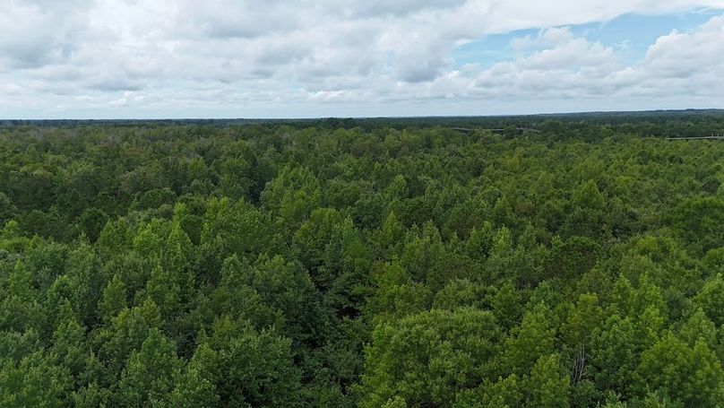 dji_fly_20250715_115300_0604_1752596193053_photo