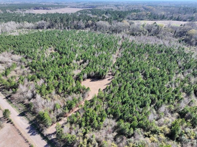 dji_fly_20260302_130818_0351_1772559697068_photo