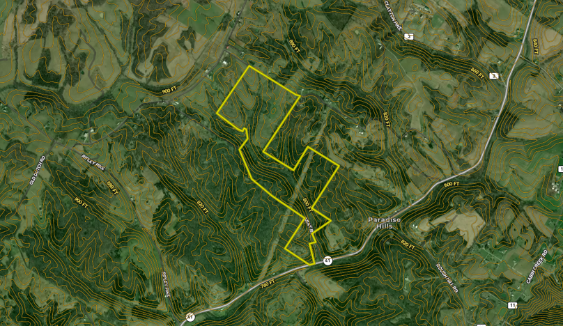 Screenshot 2025-07-15 at 7.42.01 AM