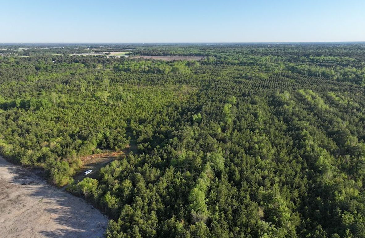 DJI_20250417072818_0003_D