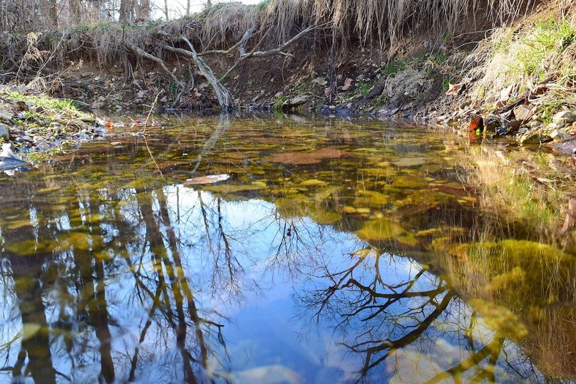 DSC_0339_inPixio (2)