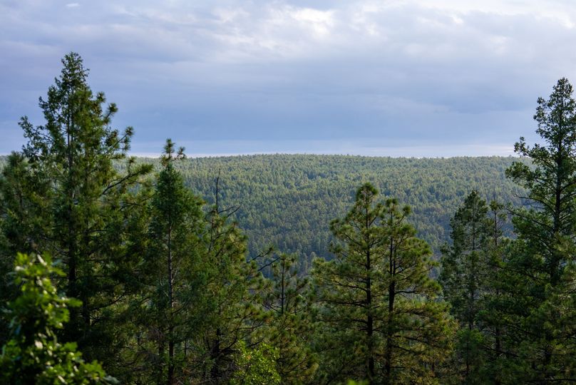 Cibola NM 13,053-01783