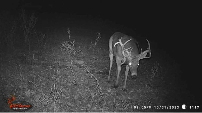 received_1831763953975076