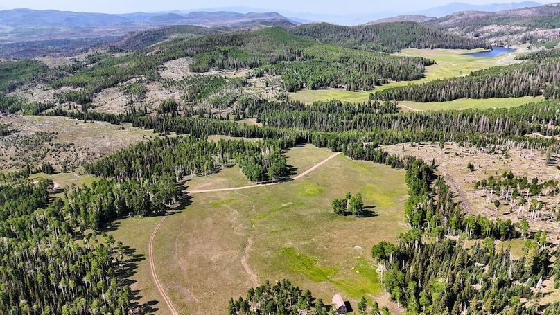 DJI_20250628100557_0260_D