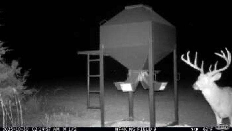 05a89e86ea5fb811bb2f747402aa7bfd-small