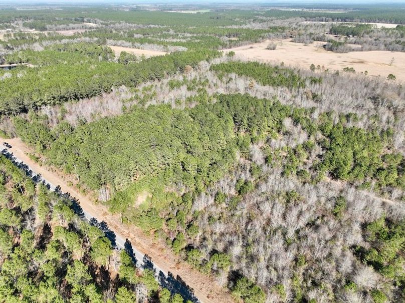 dji_fly_20260213_144410_342_1771012088002_photo