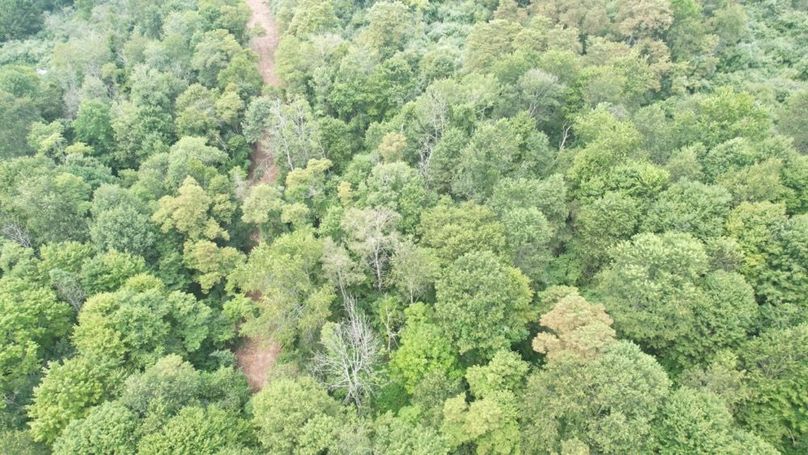 dji_fly_20250806_125142_541_1754499881881_photo