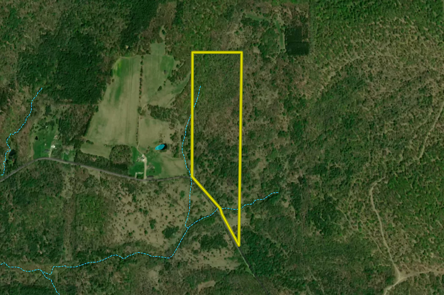 Chemung_31.822_Gutchess_Lumber_Landid_4