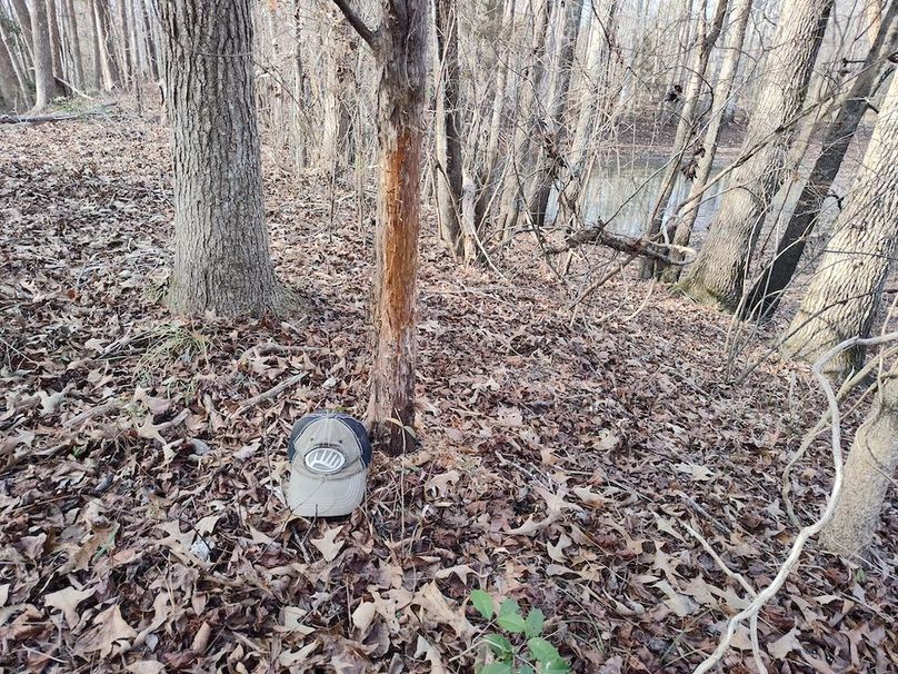 IMG_20260123_145243138_HDR