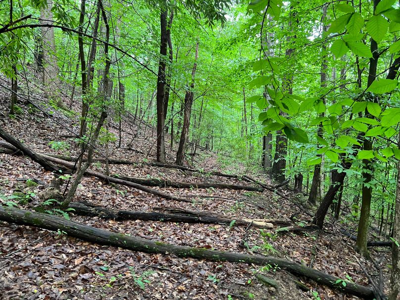 Wirt, WV 150.75 AC Tinnell-42