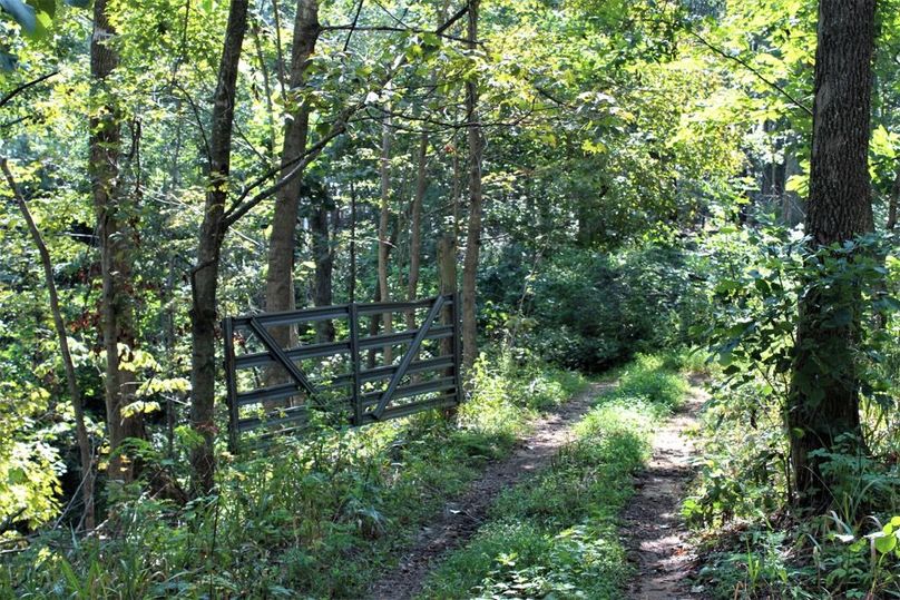 014 gated access to one of the pasture fields up along the ridge along the south boundary
