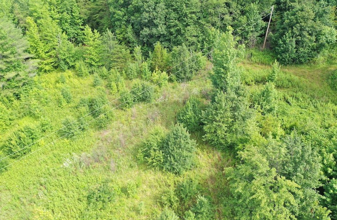 003 (Power into Property)