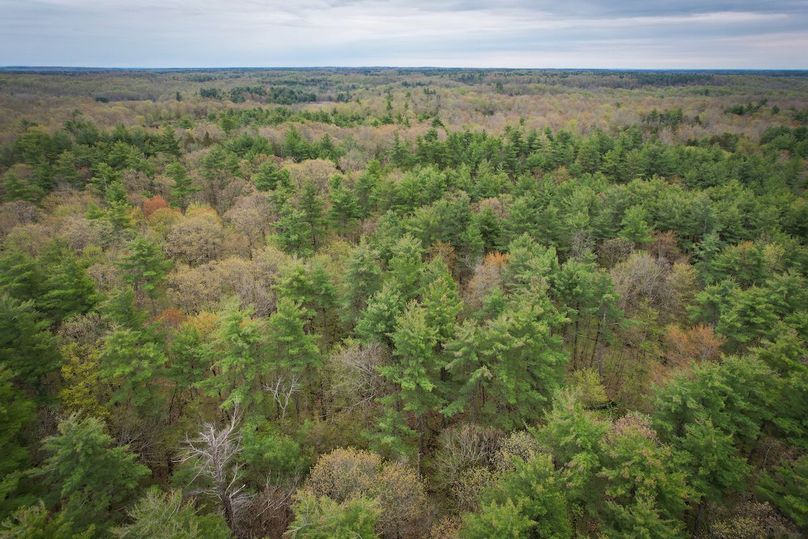 Jefferson_148.1_Flood_Photos_25