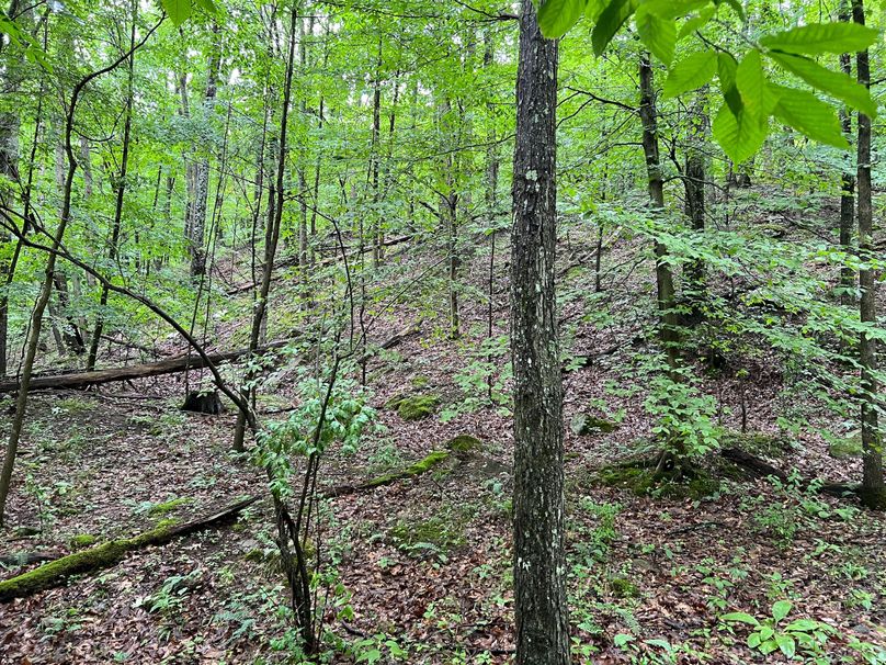 Wirt, WV 150.75 AC Tinnell-32