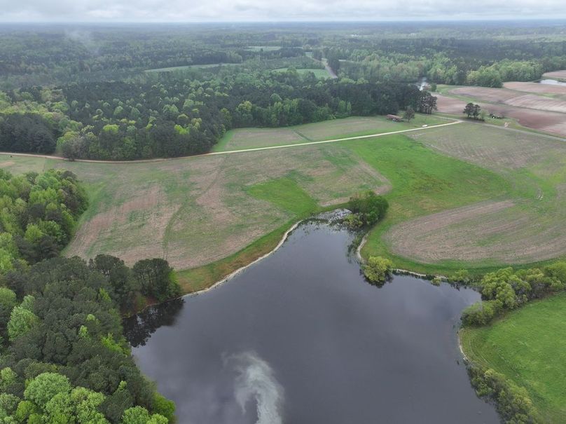 DJI_20250411111532_0043_D