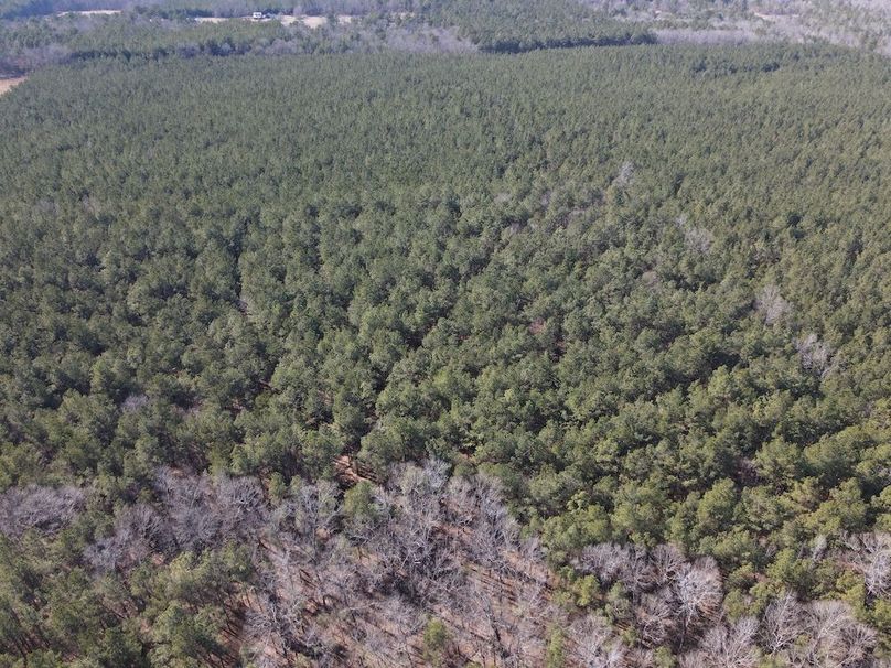 DJI_0251