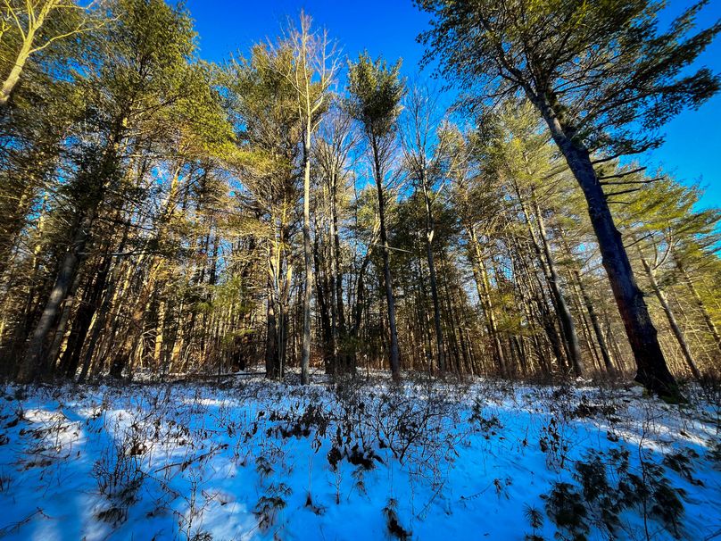 Tioga_11.9_Kilroy_Photos_6