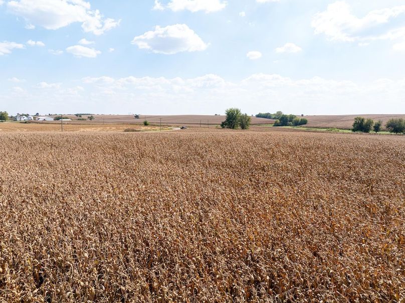 Copy of Whiteside 181_25