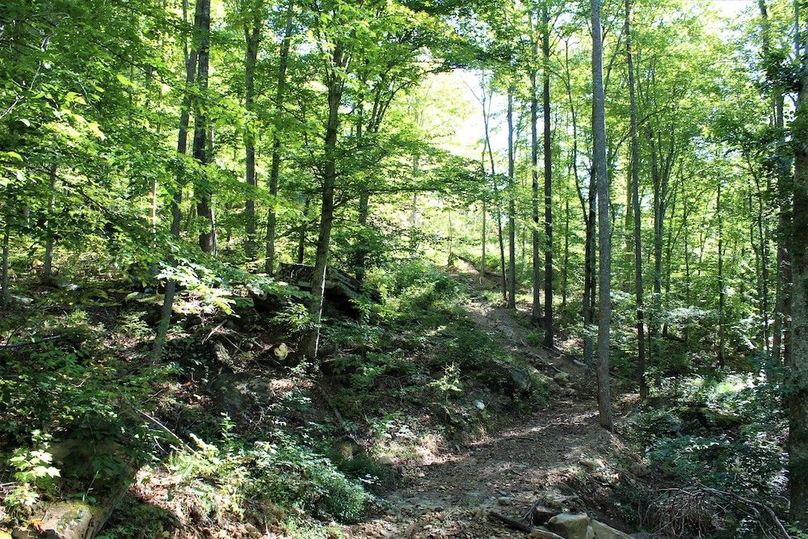 016 mixed hardwood gentle slope in the north section